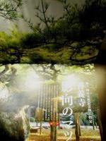 第15回企画展示「先人からの贈り物」　展示内容のご紹介②「影向のマツ」