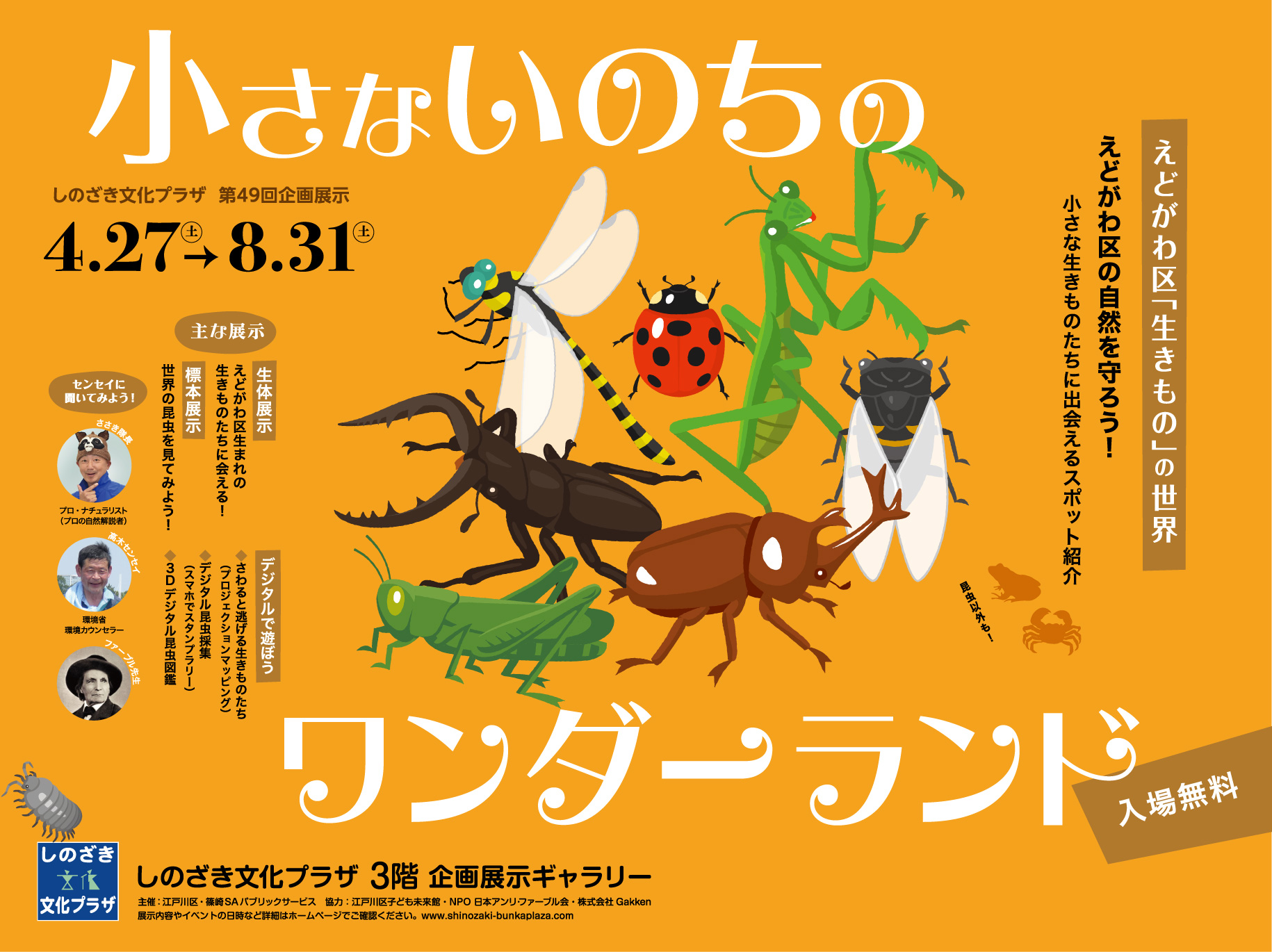 第49回企画展示「小さないのちのワンダーランド」