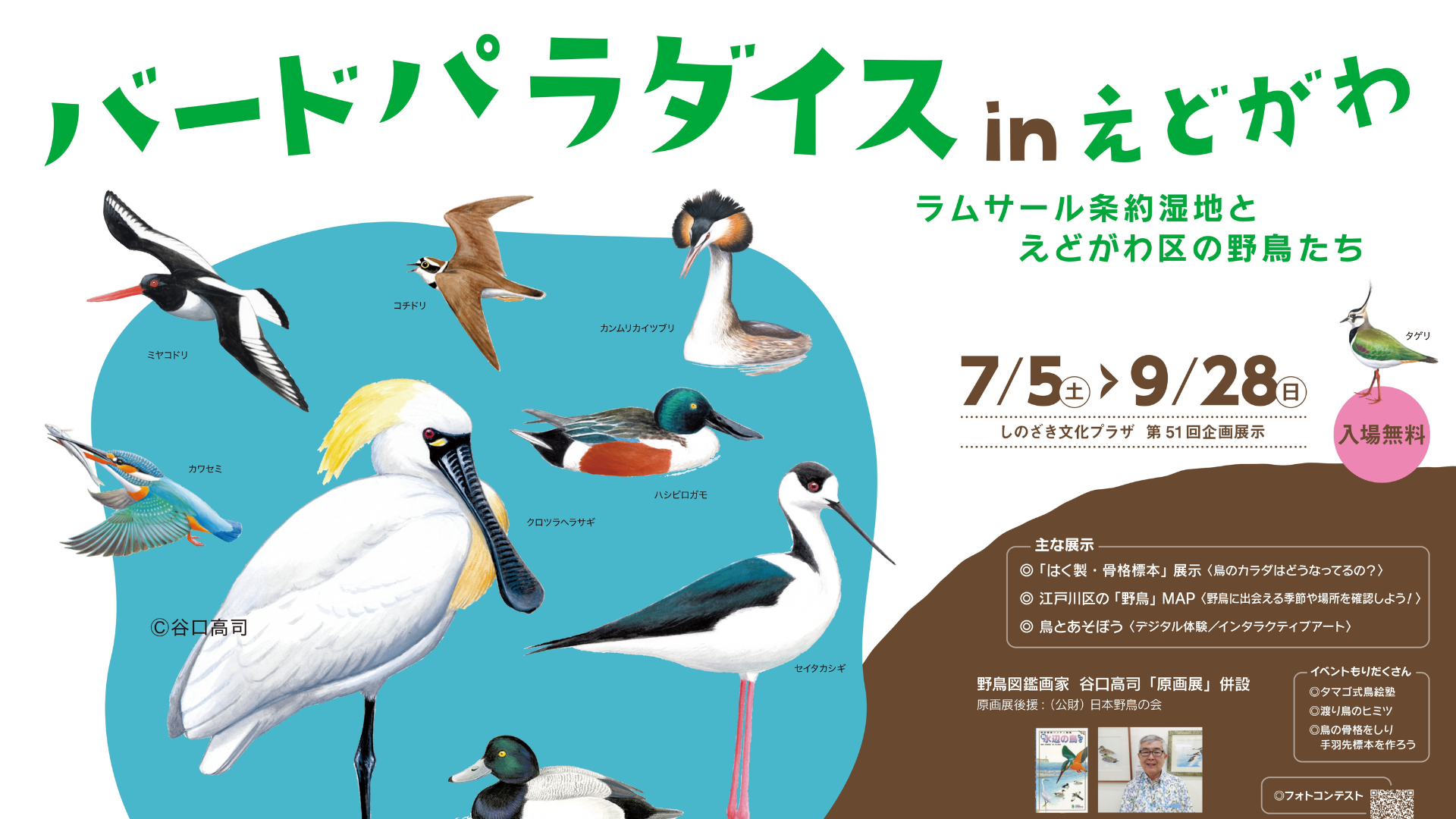 第51回企画展示「バードパラダイスinえどがわ」