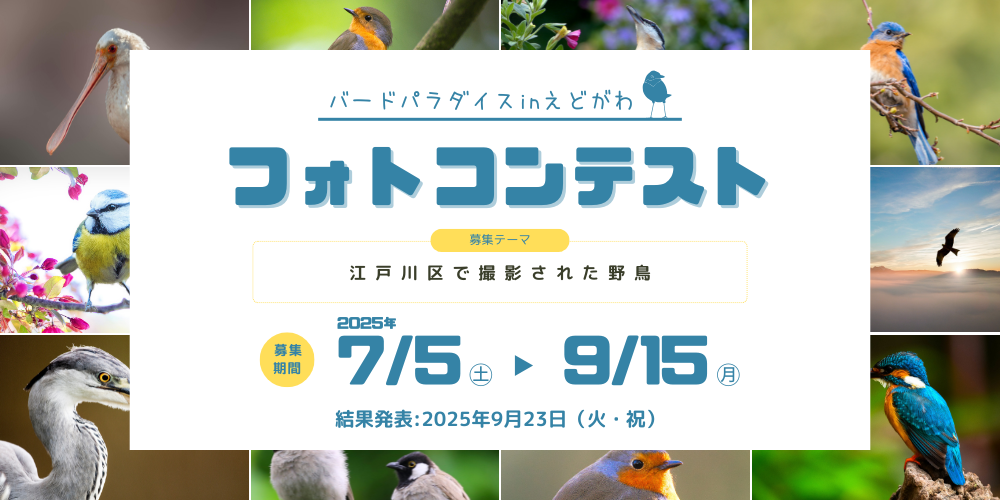 フォトコンテスト